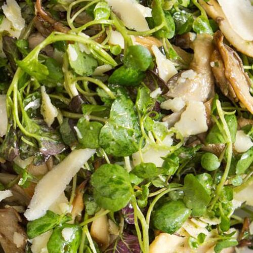13 рецептов салатов из вешенок | Проверенные рецепты Pesto 13 рецептов салатов из вешенок oyster mushroom salads | Проверенные рецепты