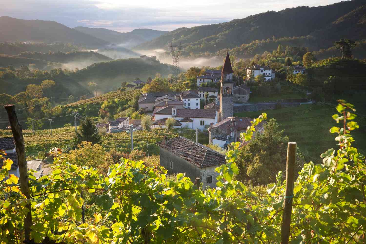 Венето (Veneto) Италия prosecco vineyards veneto italy | Проверенные рецепты